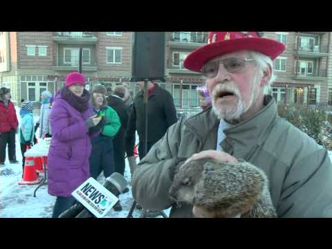 Jimmy the Groundhog&#039;s forecast debated; mayor bitten