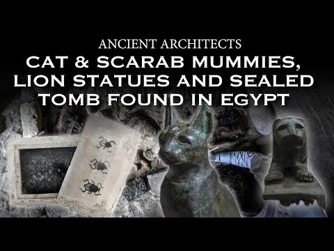 Cat &amp; Scarab Mummies, Lion Statues and Sealed Tomb Found in Egypt | Ancient Architects
