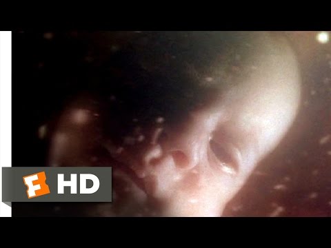 The Butterfly Effect (10/10) Movie CLIP - Director&#039;s Cut Ending (2004) HD