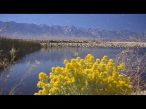 Los Angeles Aqueduct Centennial 2013