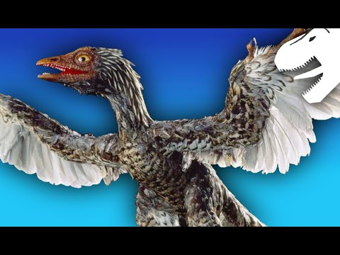 The Bizarre Archaeoraptor Hoax