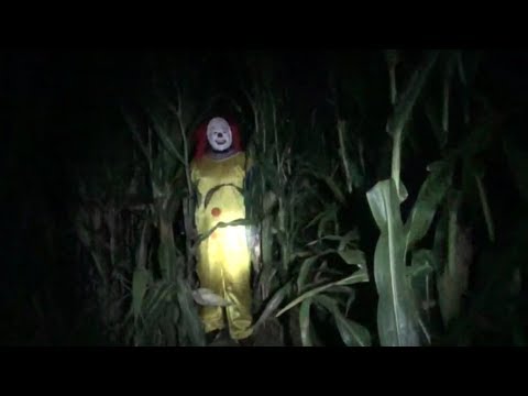 Pure Horror in the Corn