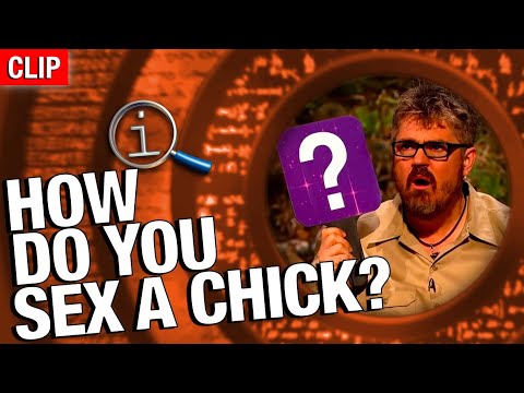 QI | How Do You Sex A Chick?