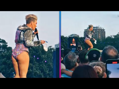 Pink SHOCKED by Fan Throwing Mother’s Ashes on Stage