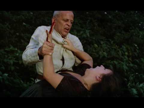 Woyzeck - Stabbing scene [sub eng]