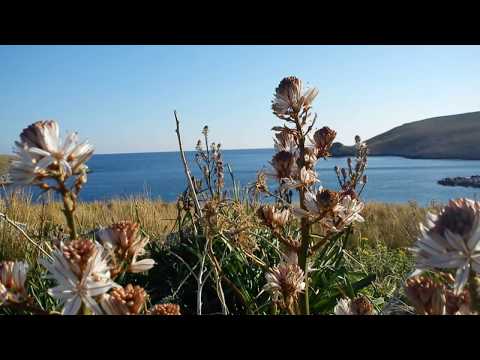 Μάνη, Ακρωτήριο Ταίναρο // (Cape Matapan) - GREECE .wmv