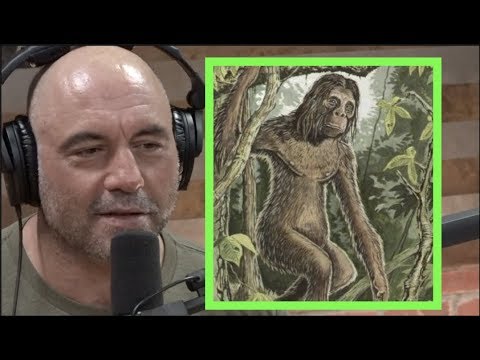 Joe Rogan - Is There Evidence of Mythical Ape Creature The Orang Pendak?
