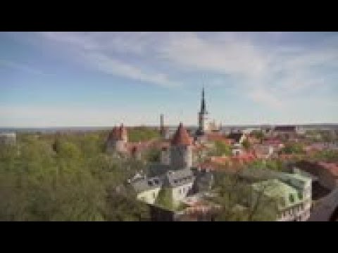 Tech-savvy Estonians vote online in European elex