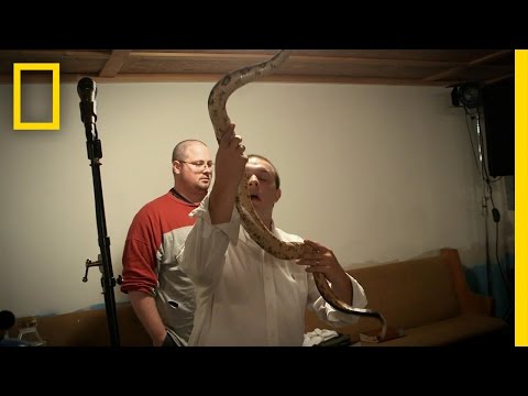 10 Horrifying Stories Of People Killed By Snakes - 41