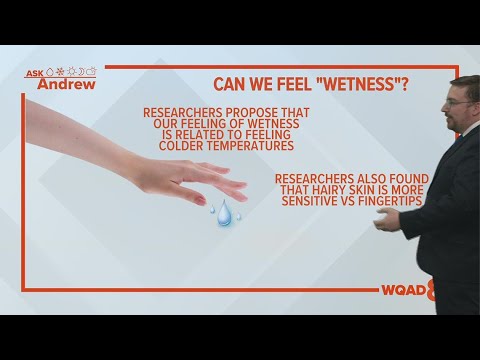 Ask Andrew: Is it true humans can&#039;t feel &quot;wetness&quot;?