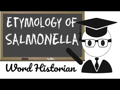 Etymology of Salmonella (Origin of Salmonella)