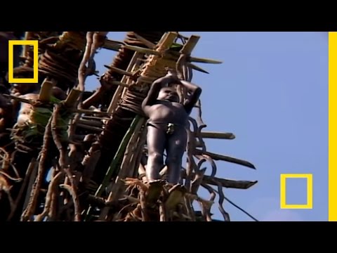 Land Divers | National Geographic