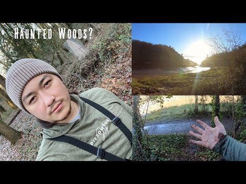 Haunted Forest or Beautiful Woods? &amp; Bristols Most Iconic Structure