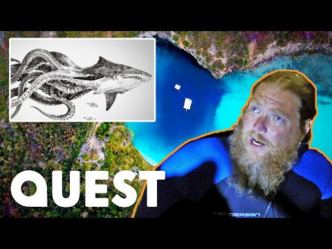 Have Experts Found Evidence Of The Lusca Sea Monster? | Curse Of The Bermuda Triangle