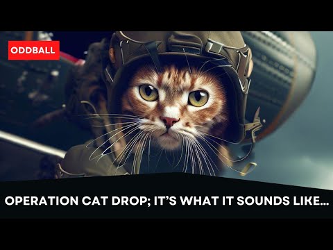 Operation Cat Drop; It’s What it Sounds Like…