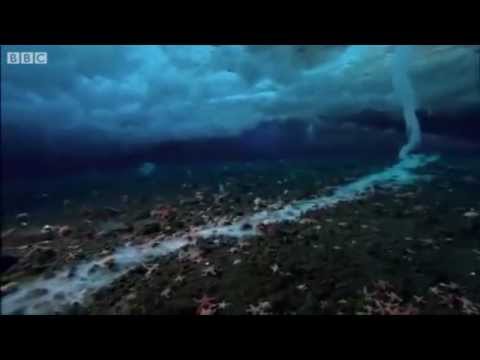 Brinicle, Underwater Icicle &quot;Finger of Death&quot;