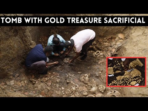 Archaeologists in Panama find ancient tomb filled with gold treasure and sacrificial victims