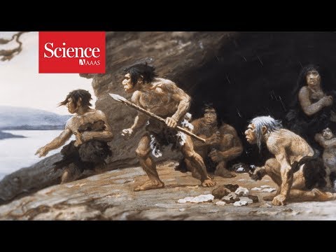 Neanderthals used their hands like tailors and painters