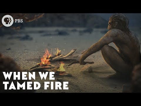 When We Tamed Fire