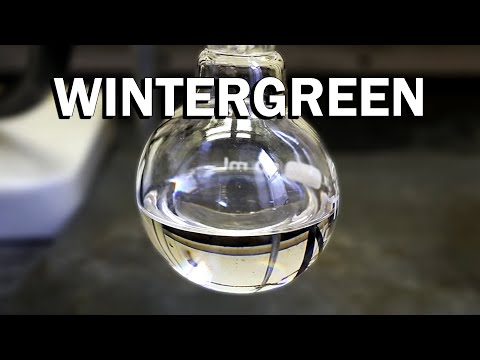 Making Wintergreen (a minty odor and flavoring)