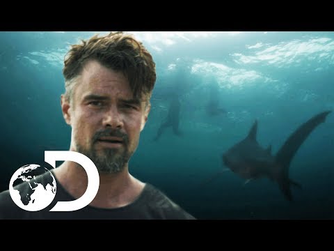 Top 10 Shark Week Conspiracy Theories - 9