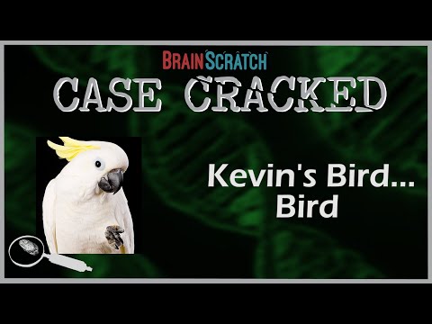 Case Cracked: Kevin&#039;s Bird... Bird