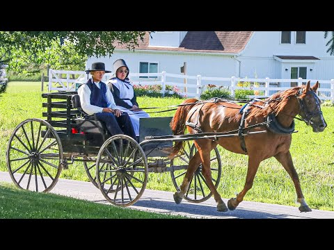 Who Are The Amish People of America? (Pennsylvania)