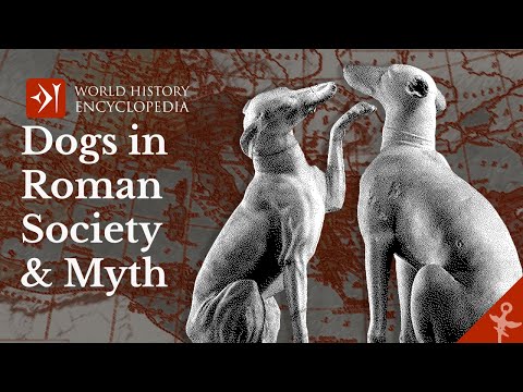 History of Dogs in Ancient Roman Society and Mythology