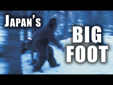 Japans Bigfoot, Hibagon | Japanese Folklore and Yokai