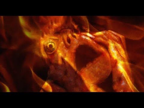 4 Reported Cases of Spontaneous Human Combustion