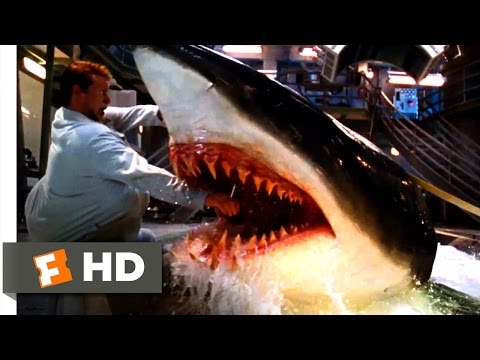 10 Shark Scenes Dissected By Scientists - 67