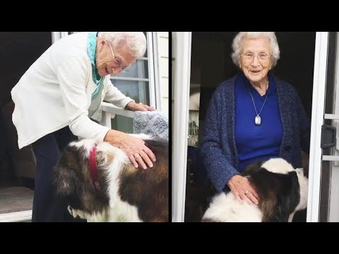 St. Bernard Keeps 95-Year-Old Widow Company