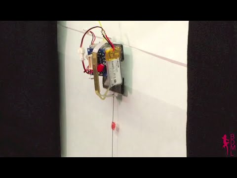 Micro robot climbs vertical glass carrying 100 times its weight