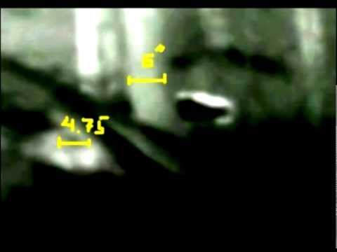 The &quot;Woodpile Sasquatch&quot; Thermal Footage: East Texas Habituation Site