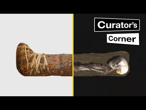CT scanning ancient Egyptian mummies | #CuratorsCorner S7 Ep1