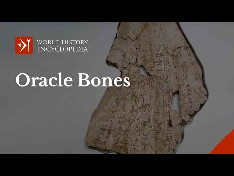 Oracle Bones of the Ancient Chinese Shang Dynasty