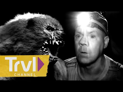 Is the AIMS Team Hunting the Silver Giant or Bigfoot? | Mountain Monsters | Travel Channel