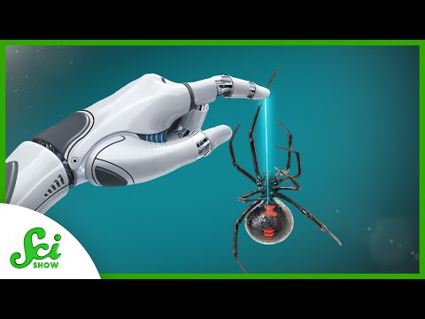 Is Spider Silk the Future of Material Engineering?