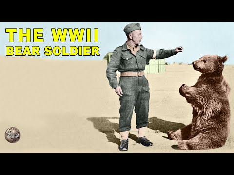 The Story of Wojtek | The Polish Military Bear