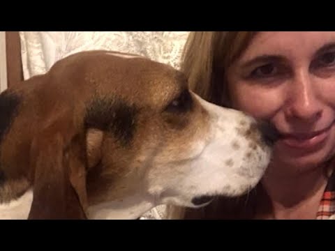 Rescue Dog Smelled Cancer Cells on Owner&#039;s Nose