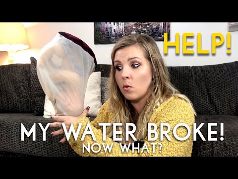 My Water Broke! Now What? Everything you need to know about your water breaking | Sarah Lavonne
