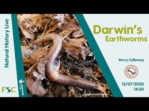 Darwin&#039;s Earthworms