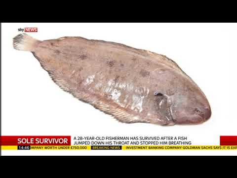 10 Bizarre Reasons Animals Made the News - 74