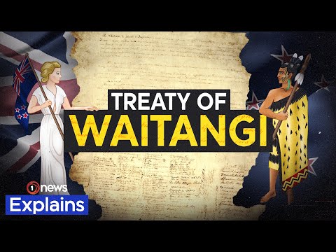 Why New Zealand can’t agree on its founding document | 1News Explains