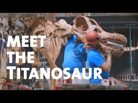 Meet the Titanosaur