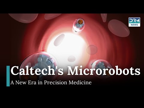 Micro-Robots Deliver Drugs Directly to Tumors: Caltech Breakthrough | DRM News | AI1I