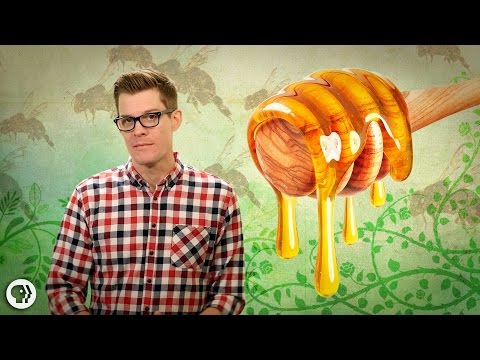 How Do Bees Make Honey?