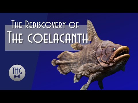 Loch Ness Outdone: Rediscovery of the Coelacanth