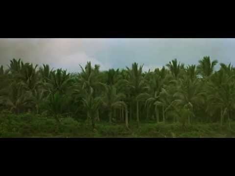 Apocalypse Now - Opening Scene (The Doors - The End) HD