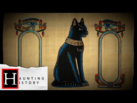 The History Of Black Cats